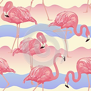 Tropical Bird Flamingo Background