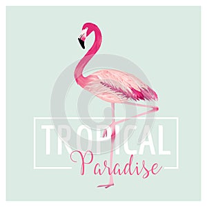 Tropical Bird. Flamingo Background. Summer Design