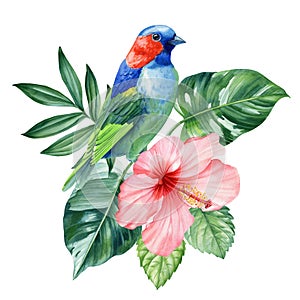 Tropical bird, flower watercolor isolated, beautiful summer nature drawing, Exotic flora design, animal art illustration