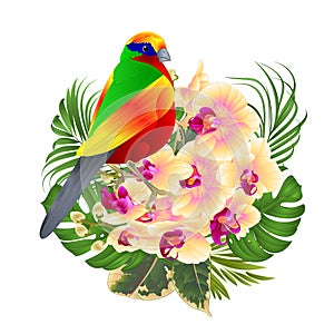 Tropical bird with tropical flowers floral arrangement, with beautiful yellow orchid, palm,philodendron and ficus vintage vector