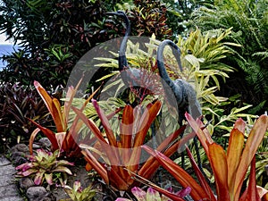 Tropical Bird Garden Decorations in Thick Growth of Plants