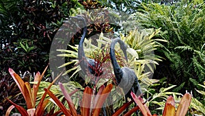 Tropical Bird Garden Decorations in Thick Growth of Plants