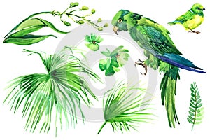 Tropical bird and green plants watercolor set isolated in white