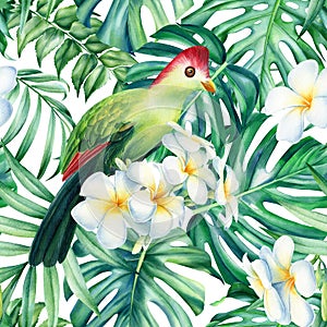 Tropical bird and palm leaves, plumeria flowers. seamless pattern. Watercolor background texture, seamless pattern