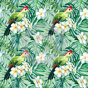 Tropical bird and palm leaves, plumeria flowers. Watercolor Jungle background texture, seamless pattern