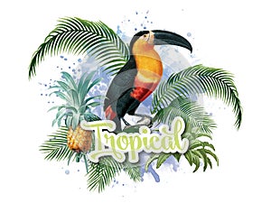 Tropical Bird`s Theme photo