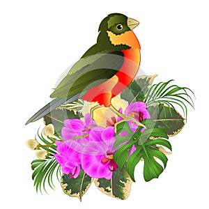 Tropical bird with tropical flowers   floral arrangement, with beautiful orchid and yelow hibiscus,palm,philodendron and ficus