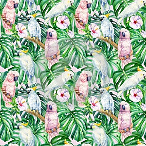 Tropical birds, cockatoo parrot, exotic plants, leaves and orchid, hibiscus flowers, seamless pattern, palm background