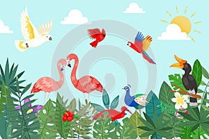 Tropical birds in exotic nature with palm and banana leaves on blue sky backdrop vector illustration. Tropical plants