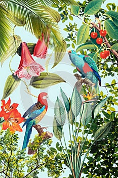 Tropical birds in the jungle photo