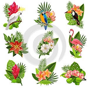 Tropical birds and flowers pictograms set