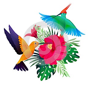 Tropical birds plants. Exotic colored background with parrots and hummingbirds sitting on leaves and flowers vector