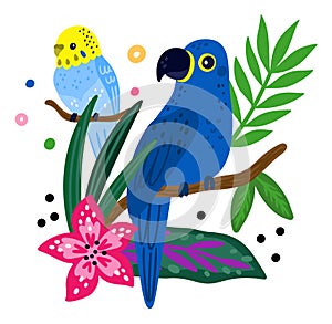 Tropical birds poster. Bright parrot and jungle plants. Funny rainforest creature. Hibiscus flowers. Flying feathered