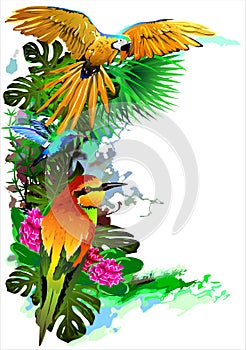 Tropical birds. (Vector) photo