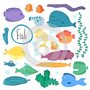 Tropical bitmap fish collection isolated