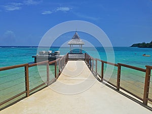 Tropical Bliss walkway