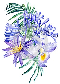 Tropical blue flowers, lotus, orchid, bellflowers, palm leaf on isolated white, watercolor drawing, botanical painting