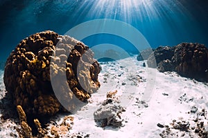 Tropical blue ocean with sand and corals underwater in Hawaii