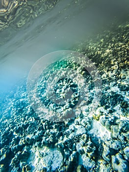 tropical blue ocean underwater background - luxury nature pattern