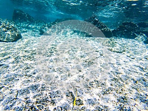 tropical blue ocean underwater background - luxury nature pattern