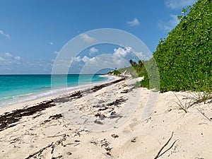 Tropical blue water at the beach in Hope Town, Elbow Cay, Bahamas