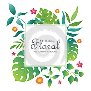 Tropical border and frame with jungle leaves vector background