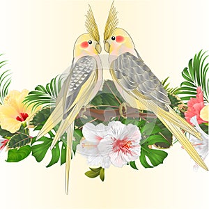 Tropical border seamless background cockatiel tropical bird parrot watercolor with tropical flowers white pink and