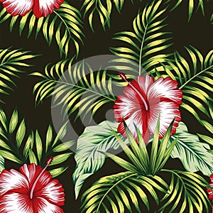 Tropical botanical composition hibiscus palm leaves black background