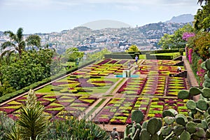 Tropical Botanical Garden in Funchal, Madeira island, Portugal