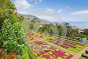 Tropical Botanical Garden in Funchal, Madeira island, Portugal