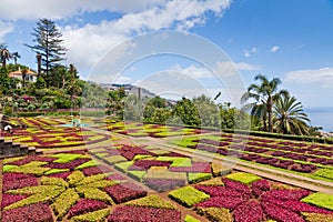 Tropical Botanical Garden in Funchal, Madeira island, Portugal