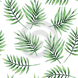 Tropical botany palm leaves watercolor drawing seamless pattern.