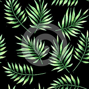 Tropical botany palm leaves watercolor drawing seamless pattern.