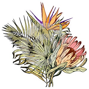 Tropical bouquet with exotic king protea, Paradise Bird flowers and palm leaves.