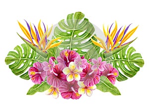 Tropical bouquet. Hand drawn watercolor painting with pink hibiscus flowers, frangipani and palm leaves isolated on white