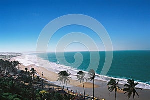 Tropicale brasiliano Spiaggia 