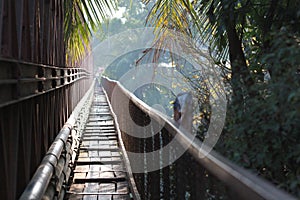 A tropical bridge in Laos