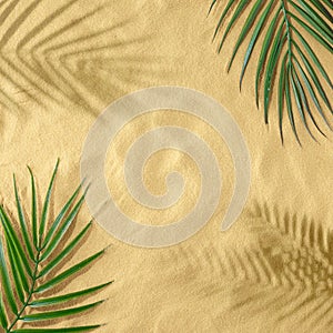 Tropical bright colorful background with green tropical leaves and shadow of sandy background.
