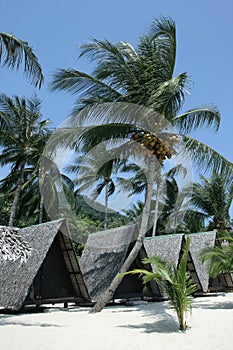 Tropical bungalows.