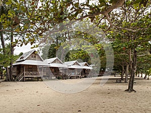 Tropical bungalows nestled among trees