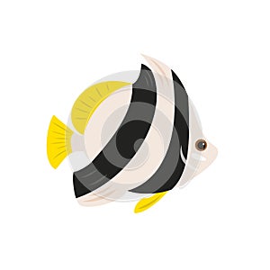 Tropical butterfly fish on white background.