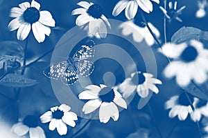 Tropical butterfly and flowers on a background of  foliage in a fairy garden. Macro artistic image. Classic blue colour.