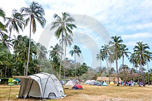 Tropical Campsite photo