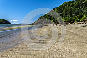 Tropical Cape Hillsborough National Park