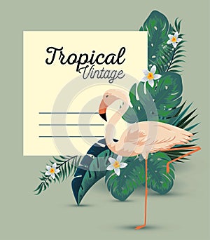 tropical card with exotic flamish and leaves photo