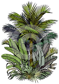 Tropical card with lush foliage