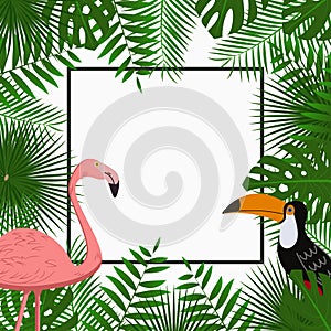 Tropical card, poster or banner template with jungle palm tree leaves, pink flamingo and toucan bird. Exotic background. Vector.