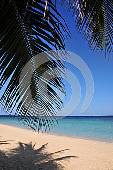 Tropical Caribbean beach