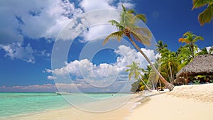 Tropical caribbean island. Beautiful beach, palm trees and clear sea water