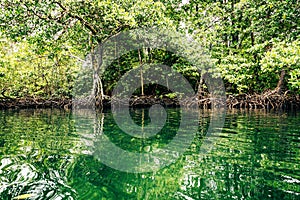 Tropical Caribbean island with lush vegetation in the marine park of Bastimentos, Cayos Zapatilla, Bocas del Toro, Panama.